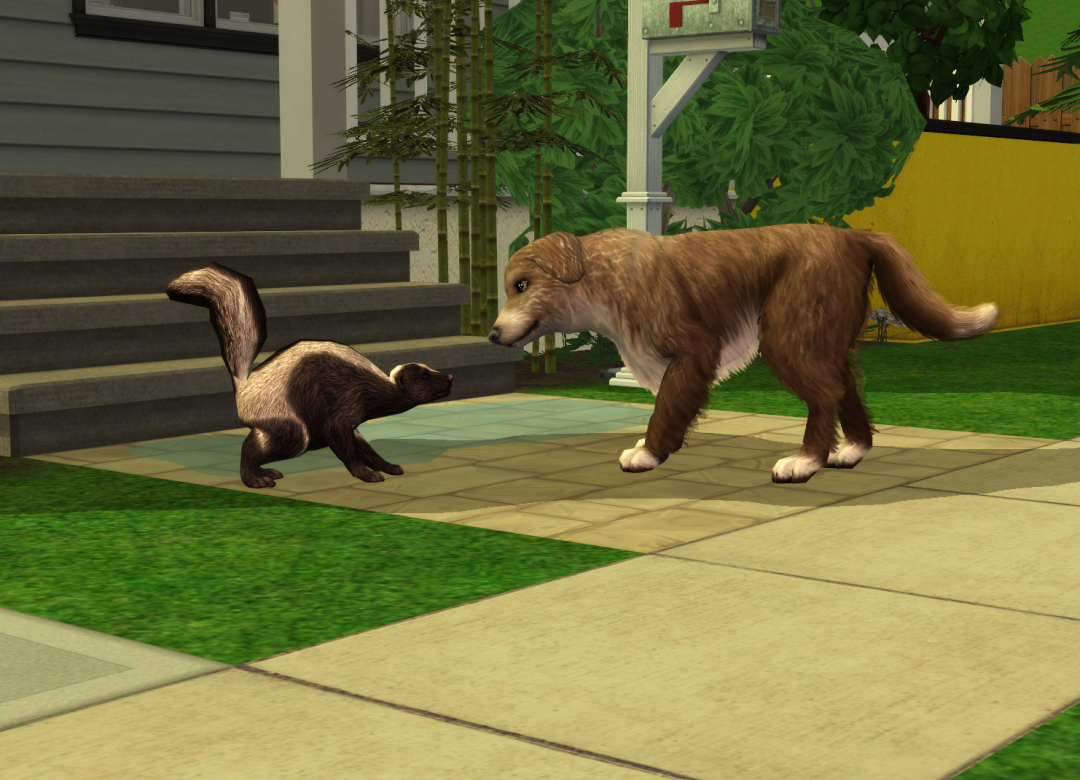 Sims2-EP9-RPC-2023-02-21-17-05-15-55