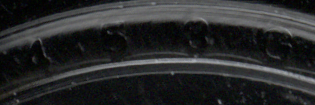 Mould SID (cropped)