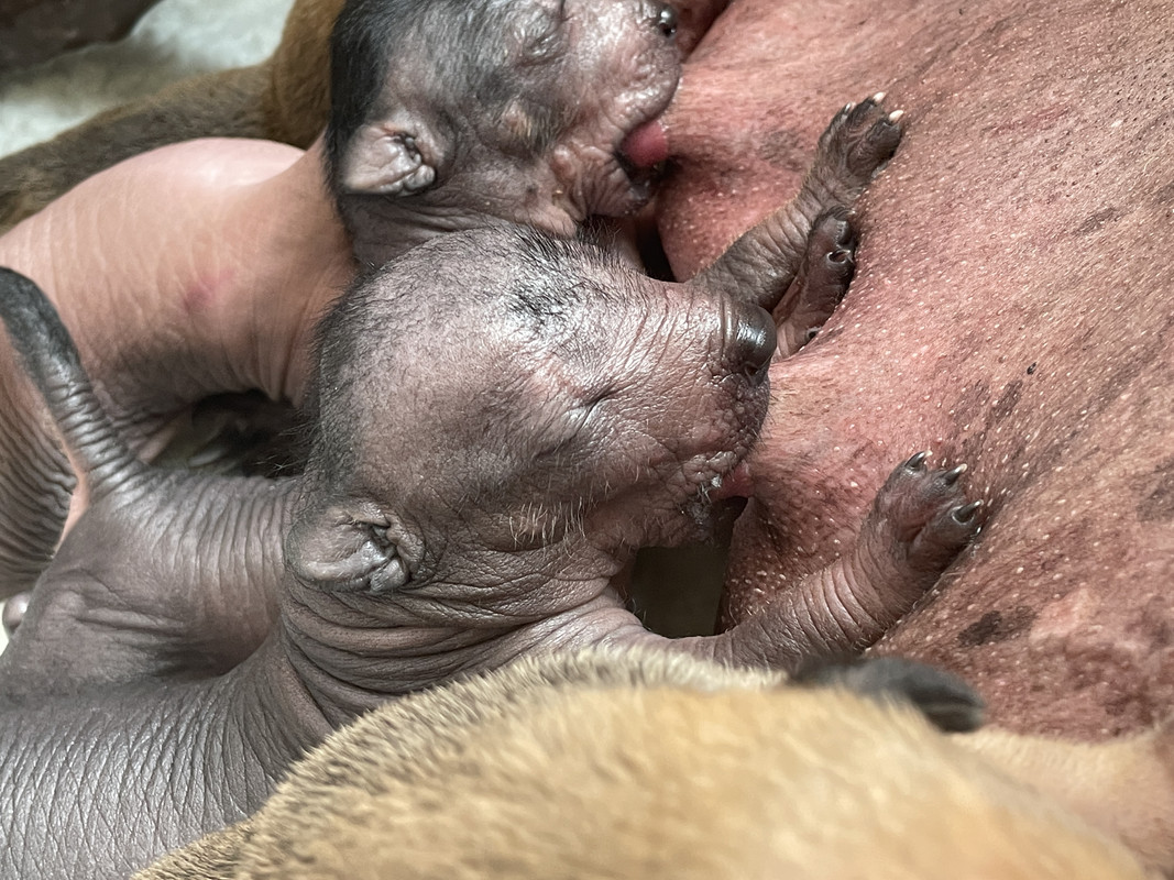 1FFBFC54-B82E-4693-BA72-FD592A52F6A3