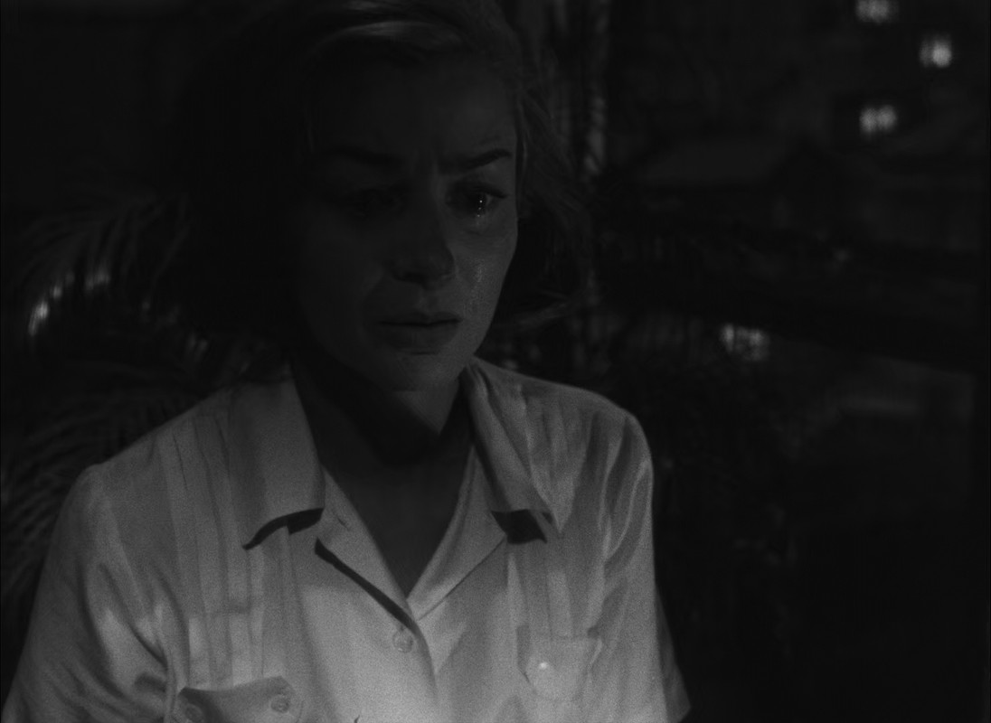 Hiroshima Mon Amour 1959 Criterion (1080p x265 10bit Tigole).mkv