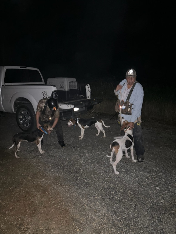 Arkansas City Arkansas Coon Hunt. Professional Kennel Club