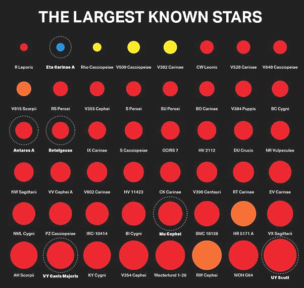 ranking gr�fico de los tama�os de las estrellas m�s grandes
