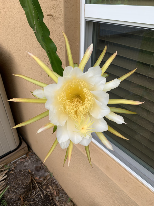 A9D7B86E-69A5-41C3-A8F1-0D32C356A451