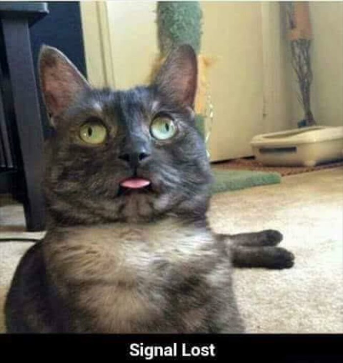 signal-lost.jpg