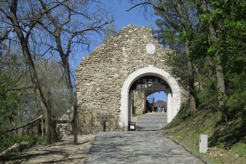 Slika