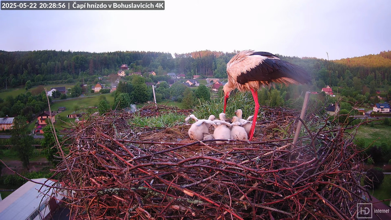 Tiešraide no KARA uzņēmuma stārķu skursteņa Bohuslavicē netālu no Trutnovas 14-32-21 screenshot (1)
