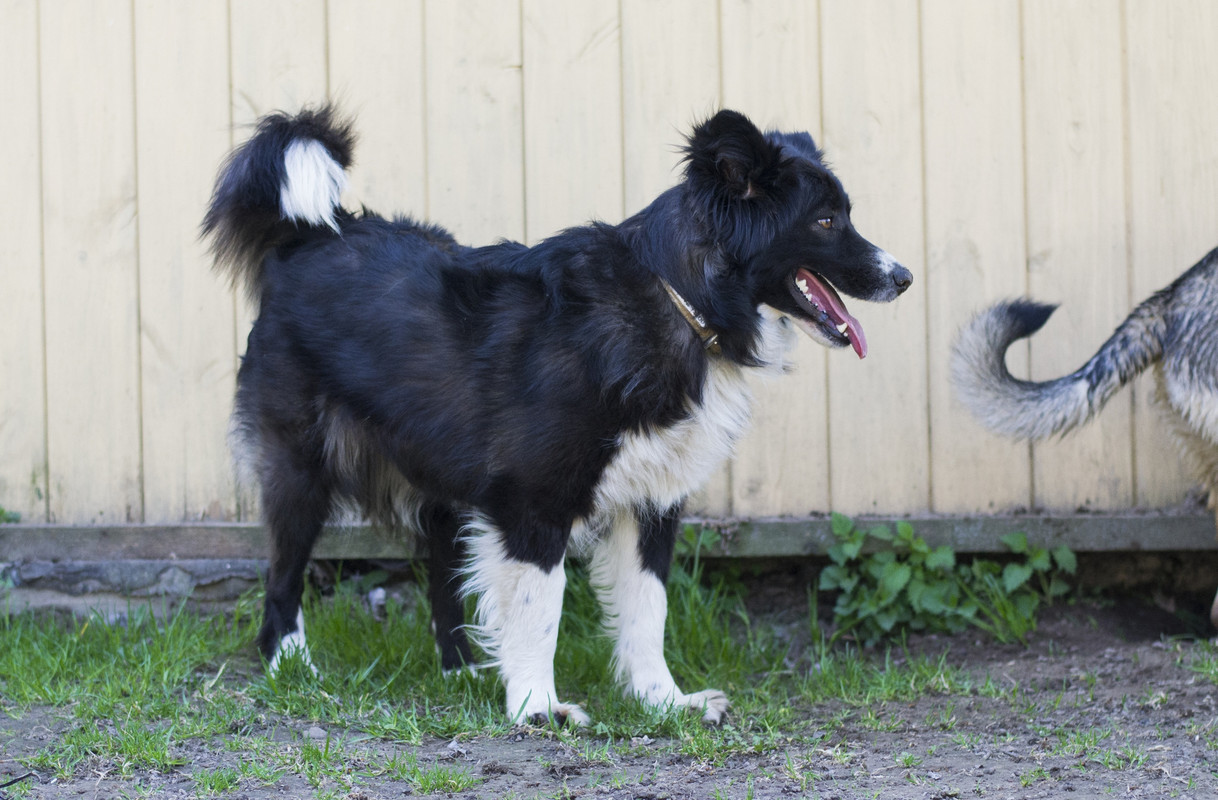 Фортуна_04_19_м14