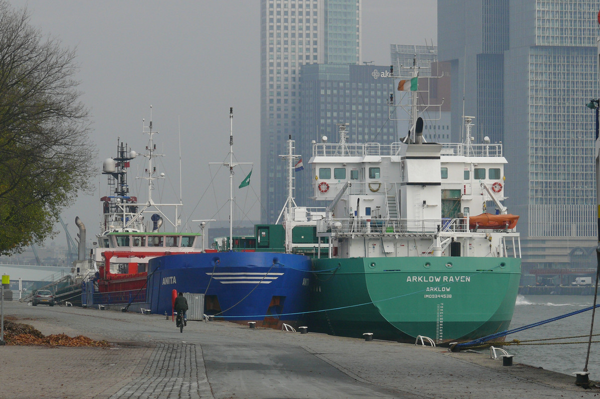 ANITA & ARKLOW RAVEN@Parkkade 12.11.2016Hp