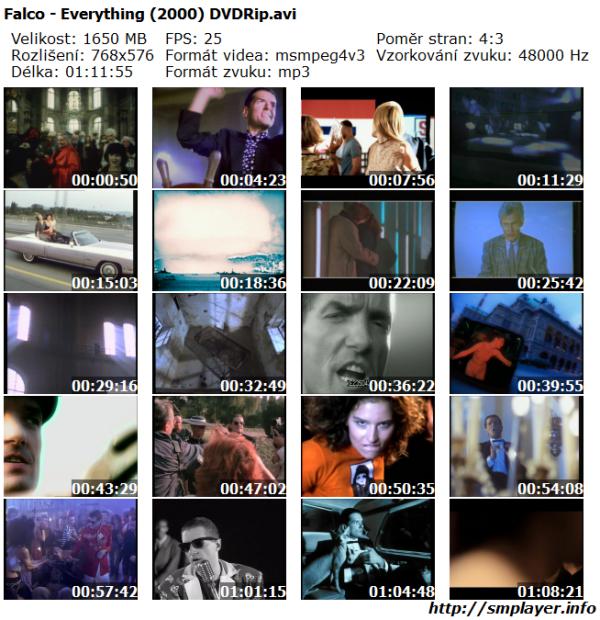 Falco - Everything (2000)