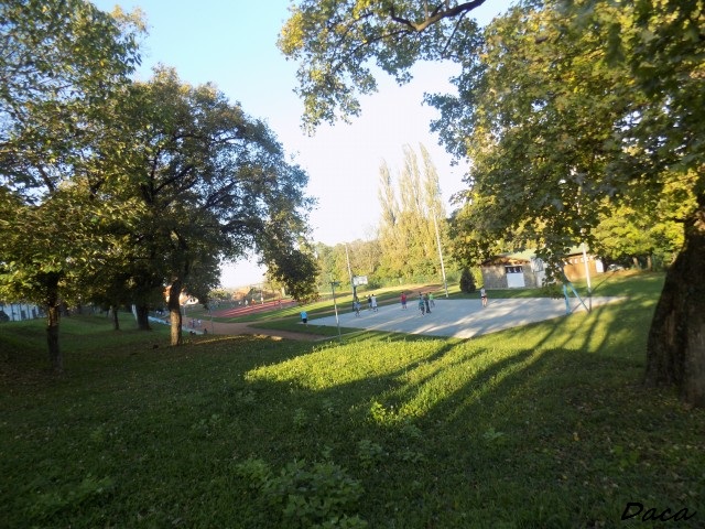 Slika