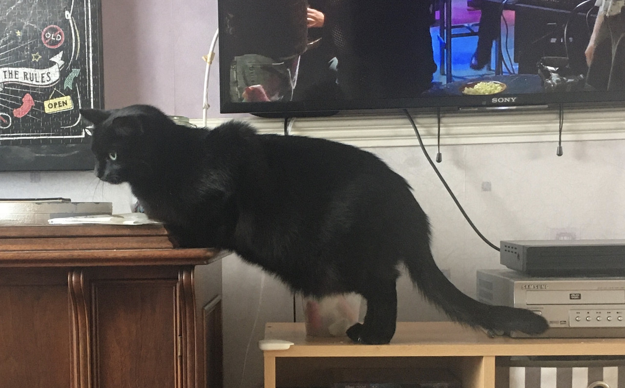 F5D87D11-FE07-4561-A50A-6BC5A479BAC1