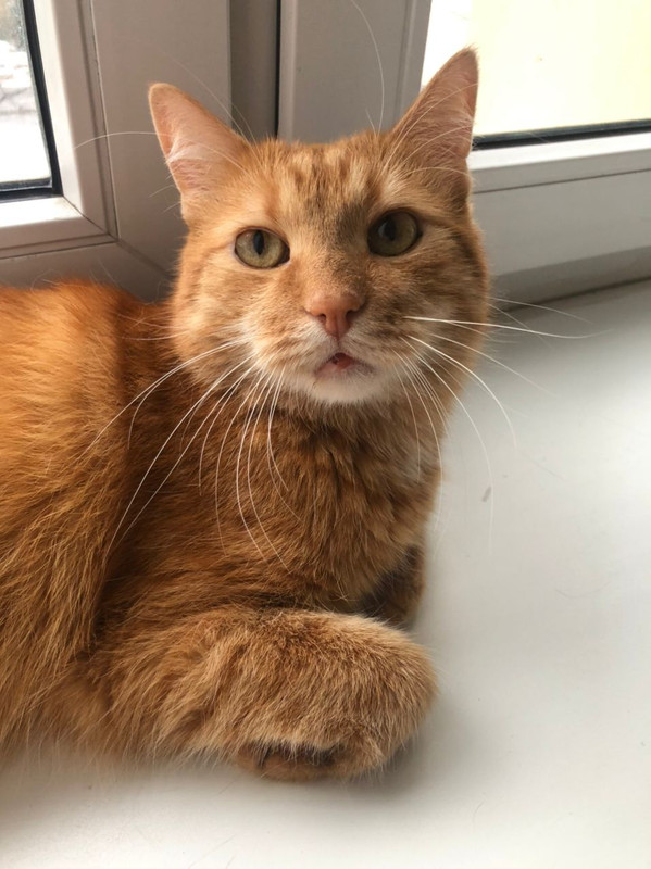 760BEF56-D292-4581-B6BB-A44FAF1ED05A