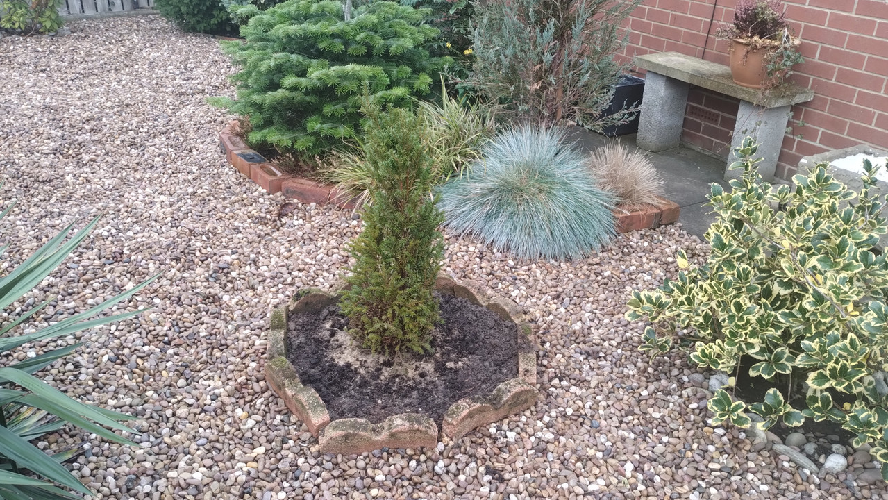 IMG 20251207 103611917