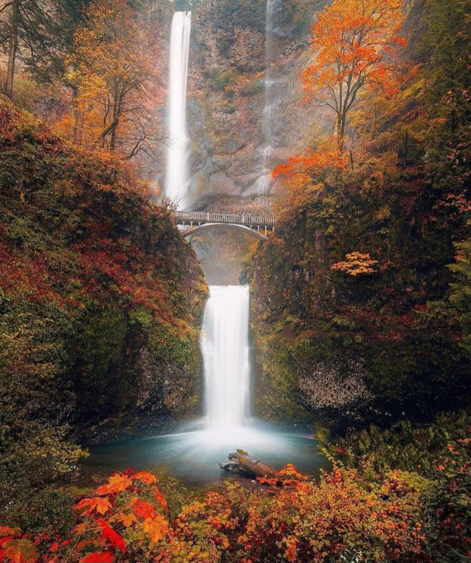 Screenshot_20231127_235301_Instagram