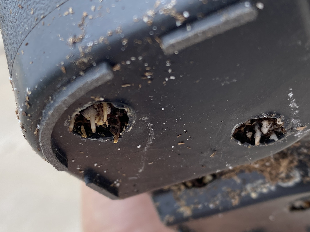 CB724A38-1F7B-46E0-A242-81985F281873