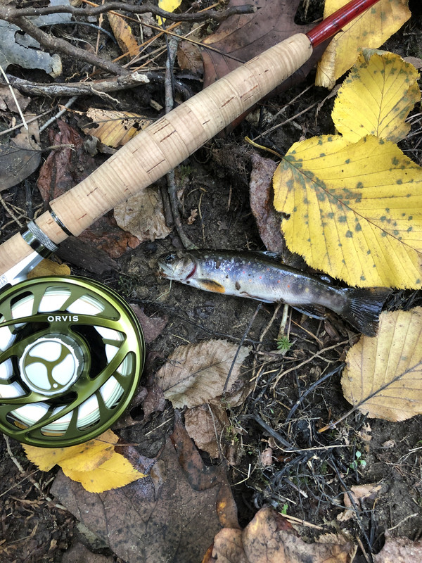 FE7ED08D-69E1-45D0-9941-BF03F95239B6