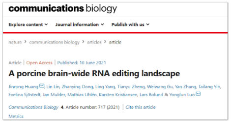 Communications Biology发布首个猪脑组织精细RNA编辑图谱-1.png