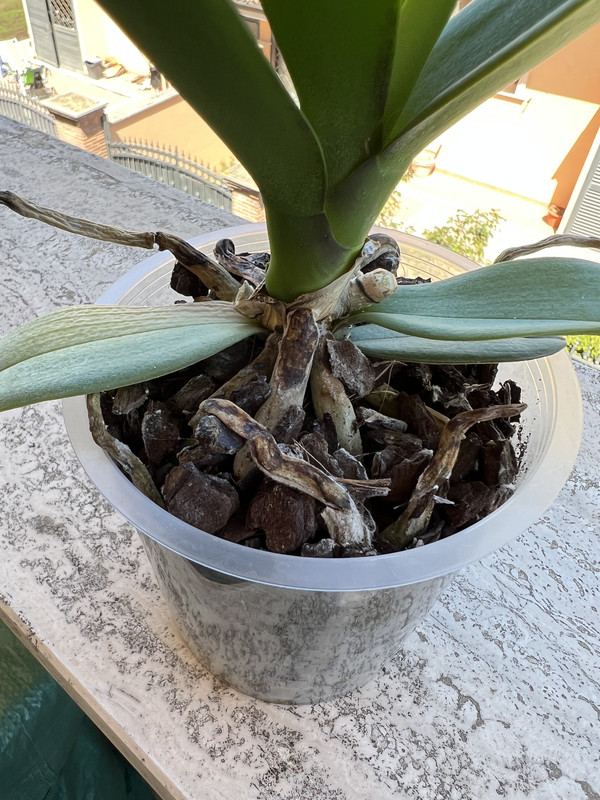 0A8276AB-499D-463F-A75A-4BBD2CC2648C