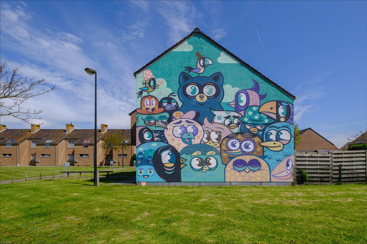 XT4G7172 2023 De Haan Bredene   LR ERWZ FB