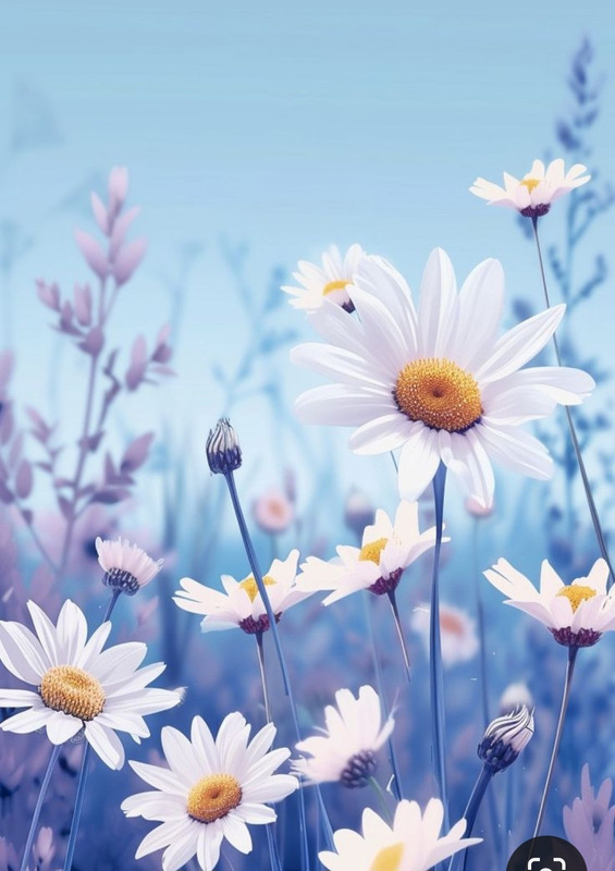 Screenshot_20240328_200633_Pinterest