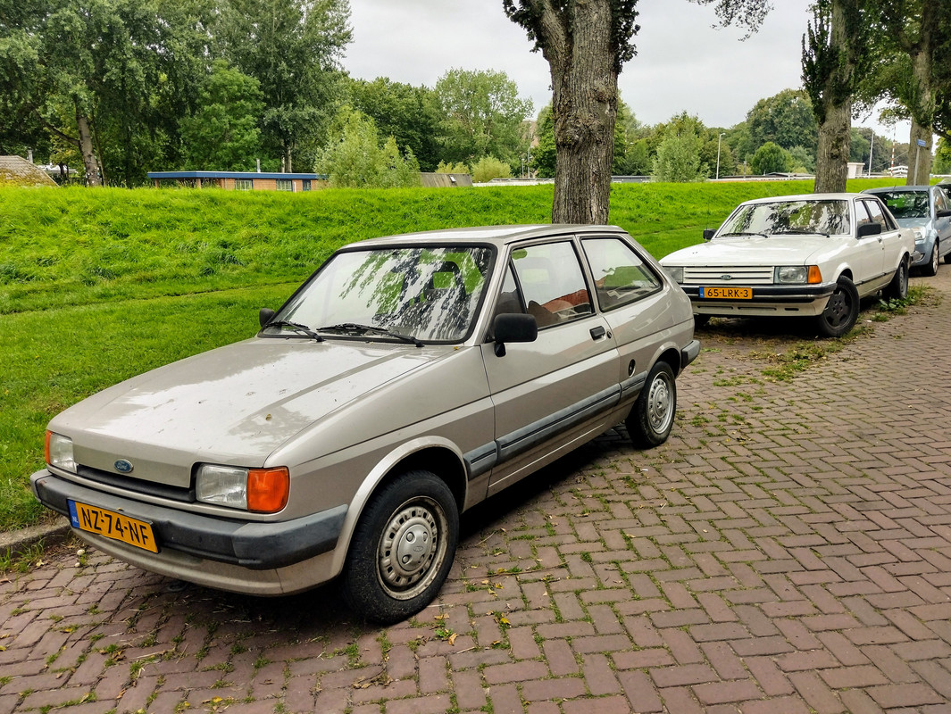 IMG-20210825-182227886-HDR-2.jpg
