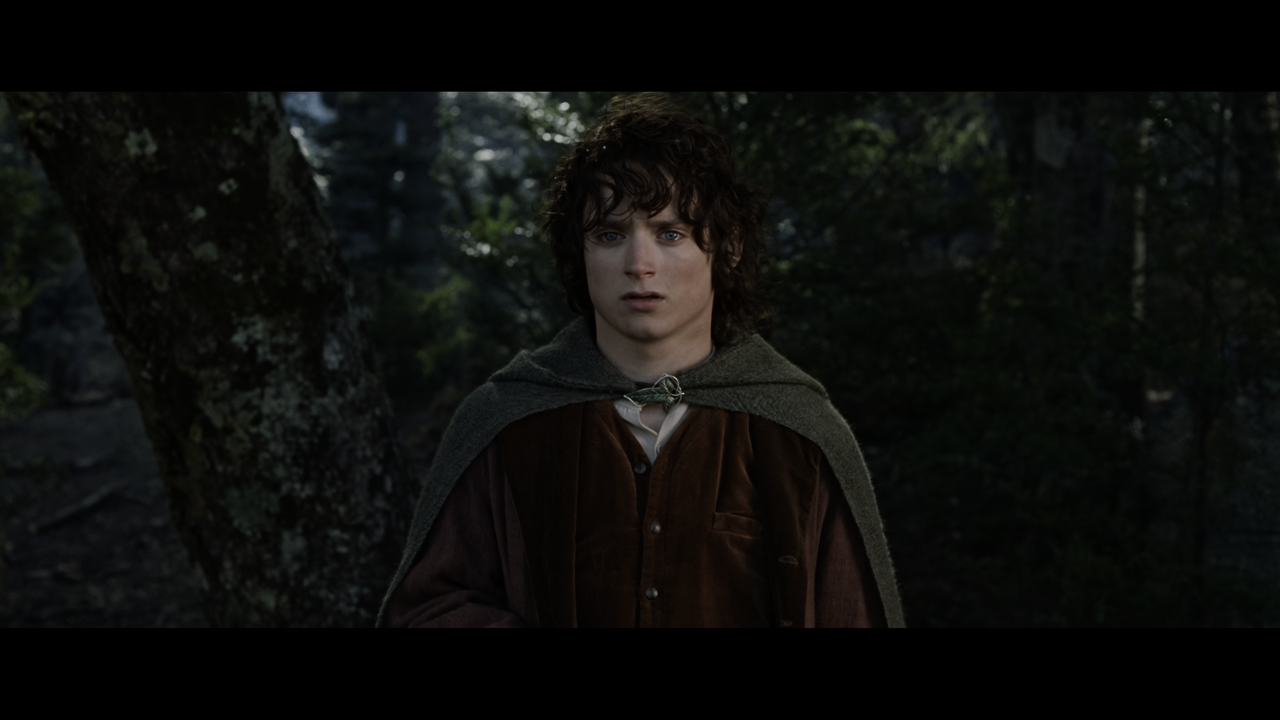 The Lord of the Rings- The Fellowship of the Ring (EXT.).mkv_snapshot_01.28.50_[2020.12.05_23.00.47]