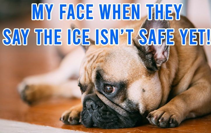 Ice Fishing Meme_ -  Ice Fishing Meme_ My Face When They Say the Ice Isn’t Safe Yet!  - #CarpFishing