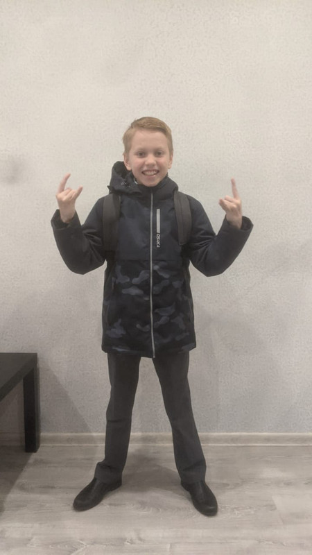 давид пальц