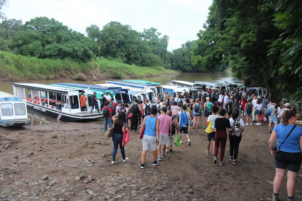 DIA 2: LLEGADA A TORTUGUERO - DE TORTUGAS Y PEREZOSOS. COSTA RICA 2019 (11)