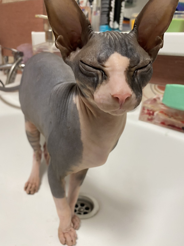 8C027331-D2E6-4B9C-81CC-27E14E3A2548