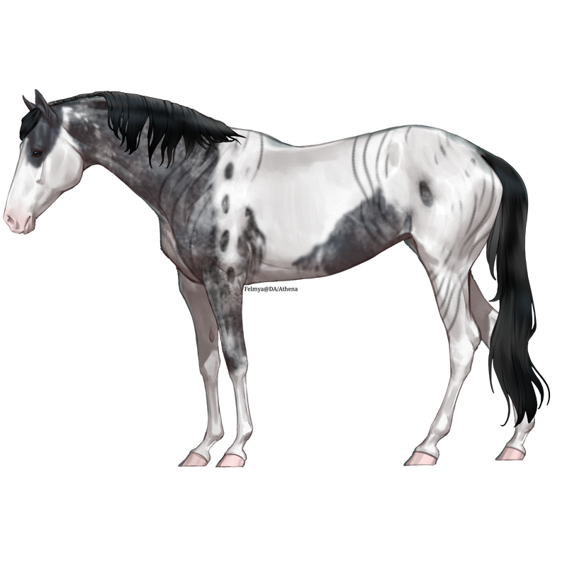 Untitled88-20250318120727.png