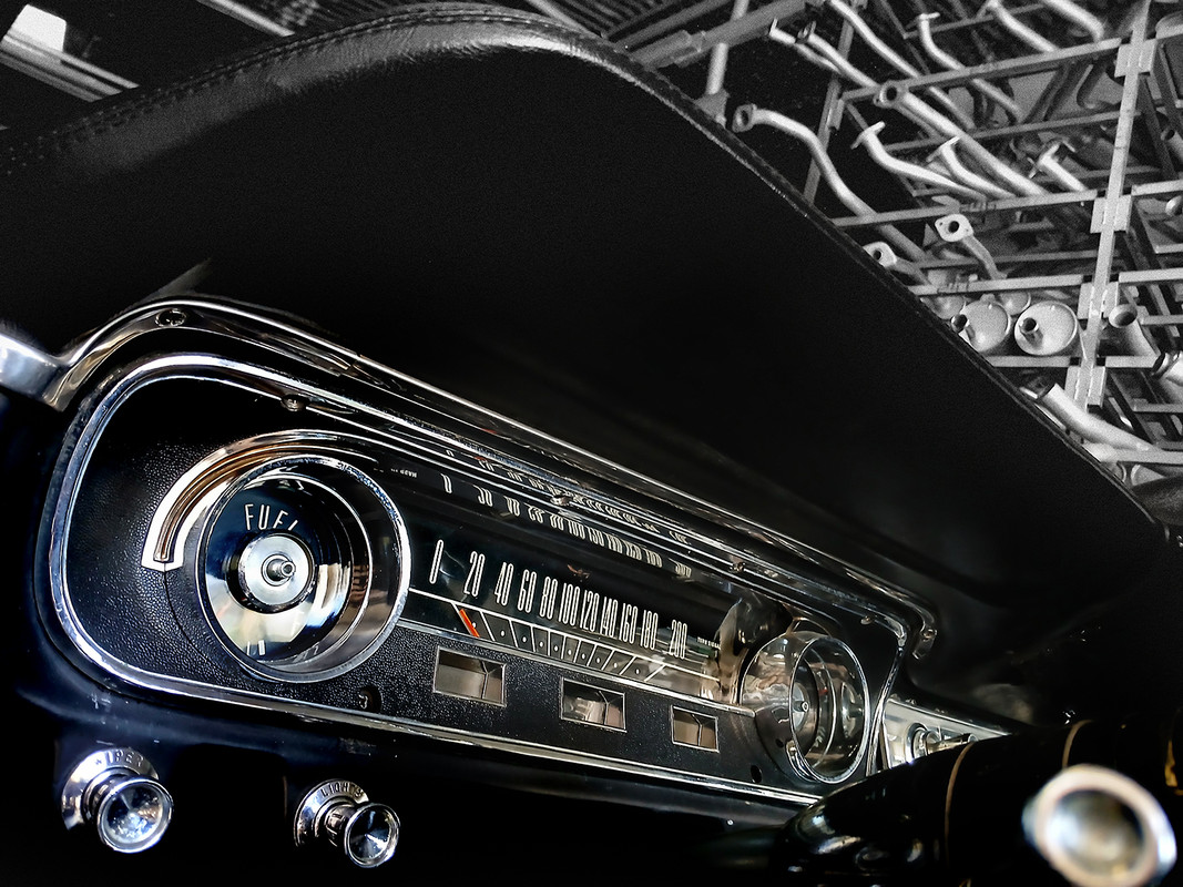 MUSTANG_EA2504-25