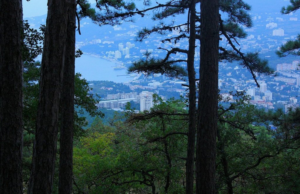 Изображение 1413