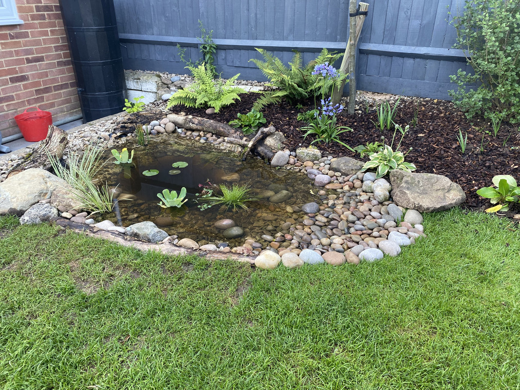 52E540DF-225E-404F-8473-4F7934FF0355