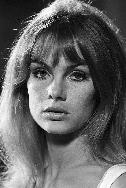 jean_shrimpton_md67