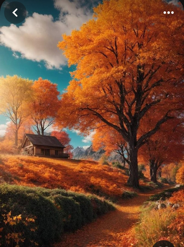 Screenshot_20240218_210733_Pinterest