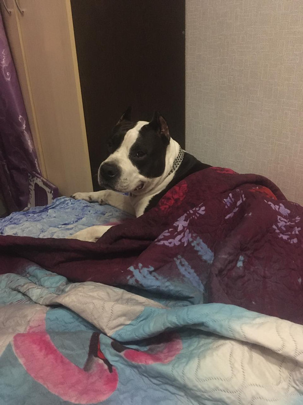 7AFF2DA2-C5AB-4EAF-A1DD-0E65DFC92536