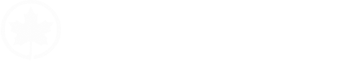 Air Canada Virtual Logo