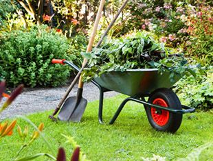 Mulching Job