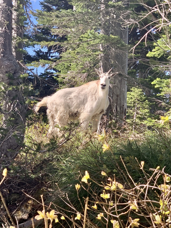 66FC5D23-3F74-46AF-A2B2-DB54487922F7