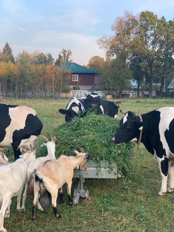 E6D84362-38F6-45DF-9B9C-CD82AB1CEC8A