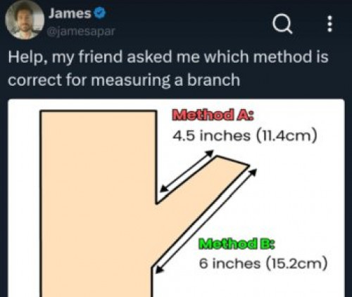 thumbs-picdump974-06.jpg