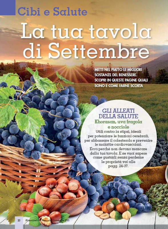 Alim Nat Set 2023 (1)