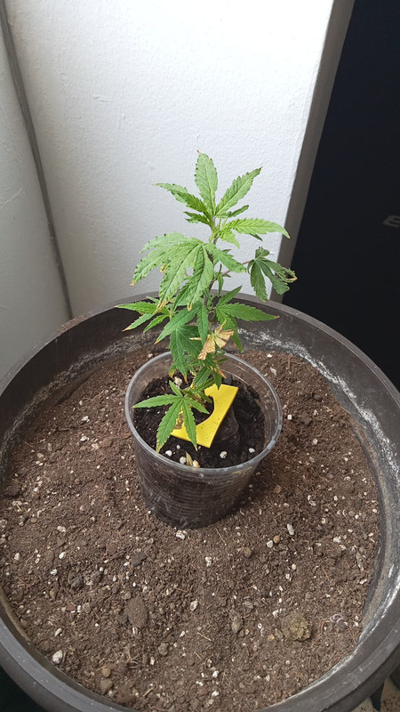 WhatsApp Image 2023-10-05 at 10.49.40 AM