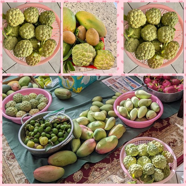 [Image: Photo-Grid-1659021046507.jpg]