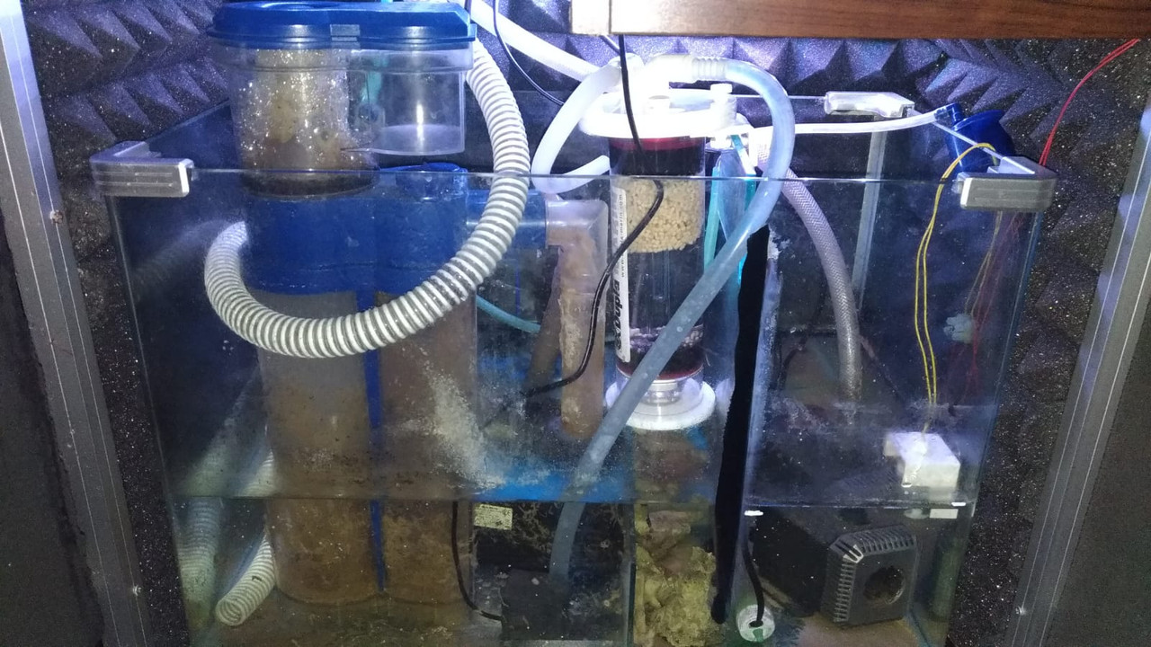 WhatsApp Image 2019-01-06 at 13.09.11(1)