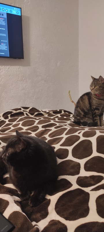 2EAE83BB-3194-416A-ACA1-B016949C82C0