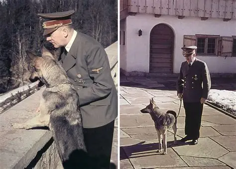 Adolf Hitler con su perra Blondi Adolf Hitler con su perra Blondi