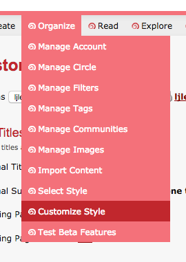 screenshot of customize style menu