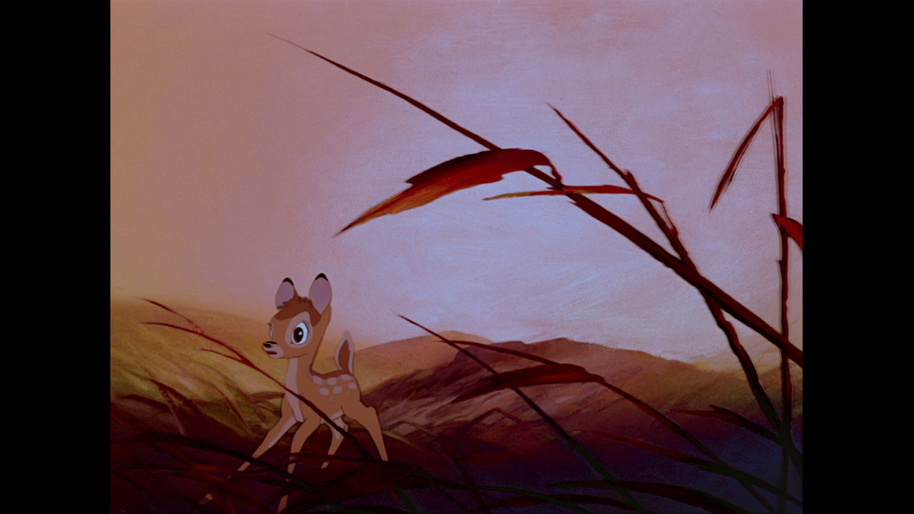 vlcsnap-2023-11-20-21h26m00s473